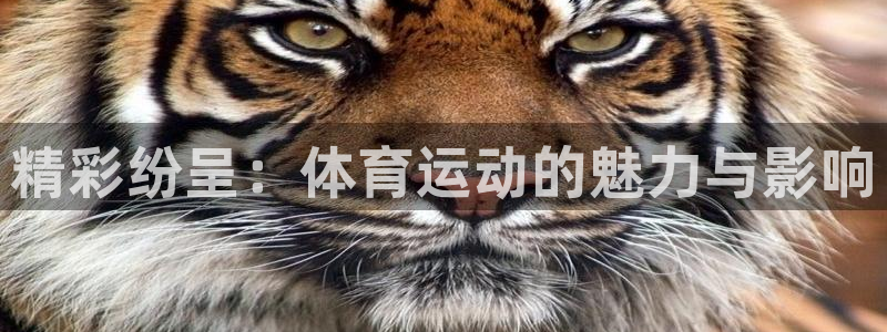 一竞技官网下载招商电话地址：精彩纷呈：体育运动的魅力