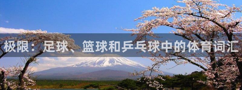 一竞技官方正版app集团：极限：足球、篮球和乒乓球中