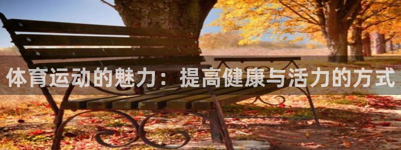 一竞技官网下载平台注册流程图：体育运动的魅力：提高健
