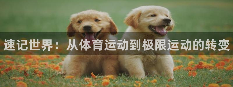 一竞技官网下载招商电话号码是多少啊：速记世界：从体育