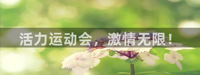 一竞技官方正版app娱乐40996：活力运动会，激情