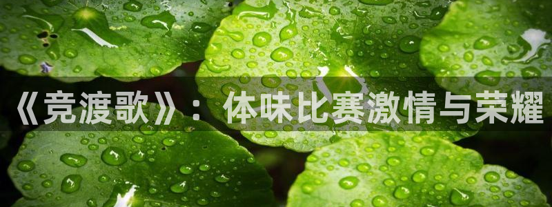 一竞技官网下载招商电话地址查询