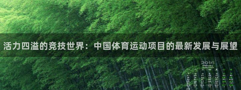 一竞技官网下载平台注册：活力四溢的竞技世界：中国体育