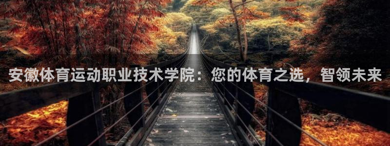 一竞技官网下载官方客服电话：安徽体育运动职业技术学院：您的体