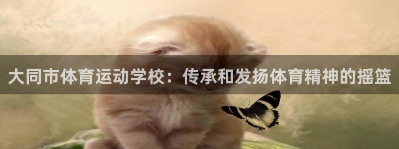 一竞技官方正版app集团官网网址：大同市体育运动学校：传承和