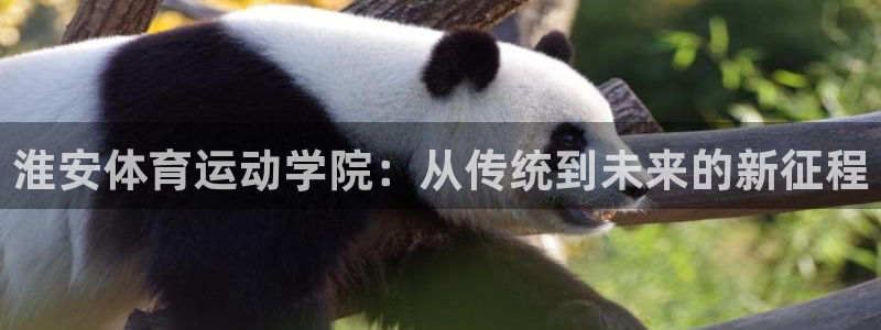 一竞技官方正版app新能源：淮安体育运动学院：从传统