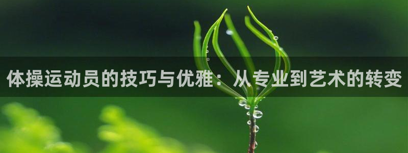 一竞技官网下载平台注册流程视频：体操运动员的技巧与优