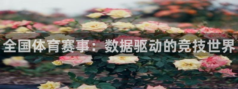 一竞技官网下载是干嘛的公司：全国体育赛事：数据驱动的