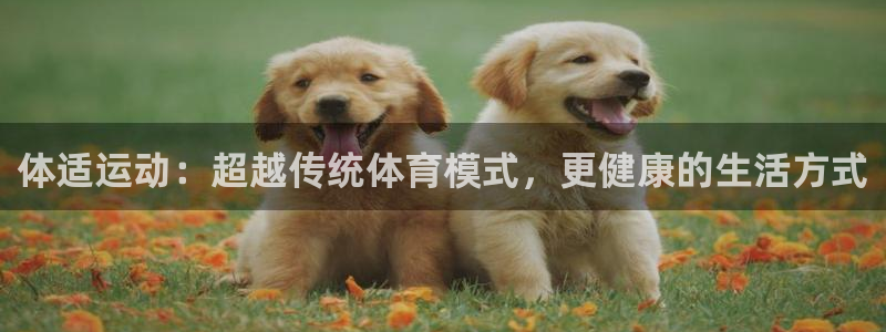 一竞技官网下载平台是正规平台吗：体适运动：超越传统体