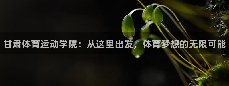 德国一竞技官方正版app集团