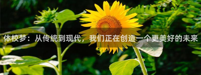 一竞技官方正版app集团官网首页：体校梦：从传统到现