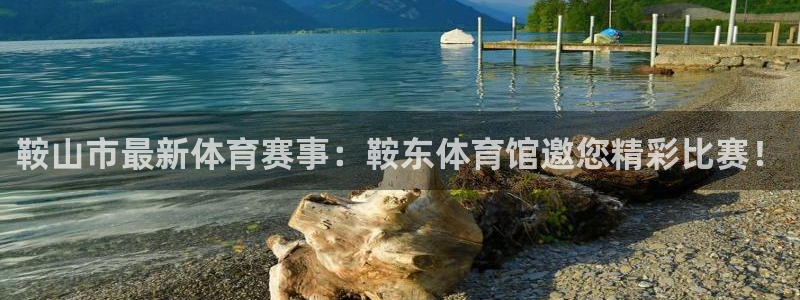 一竞技官方正版app官网