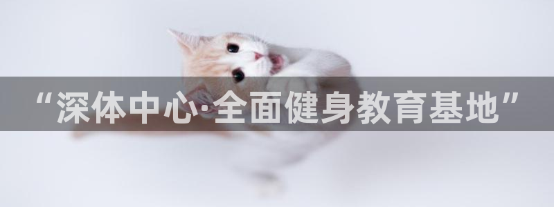 一竞技官方正版app集团官网首页网址