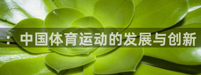 一竞技官方正版app集团官网首页