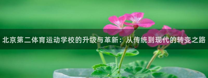 一竞技注册：北京第二体育运动学校的升