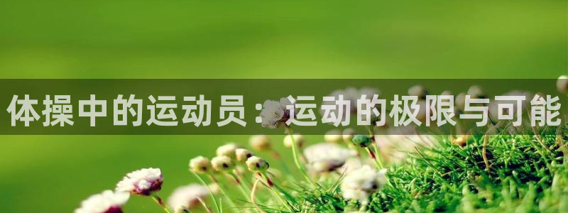 一竞技平台登录入口：体操中的运动员：