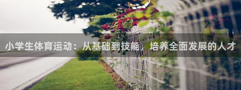 一竞技官方网站入口下载：小学生体育运