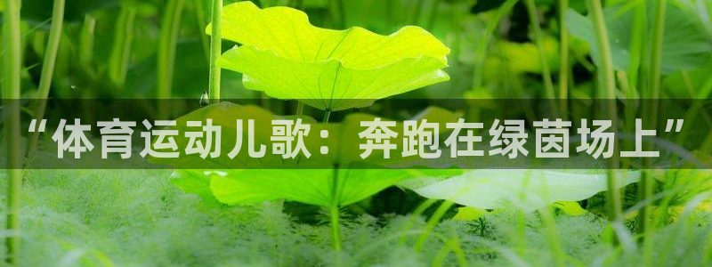 一竞技官网下载安装：“体育运动儿歌：