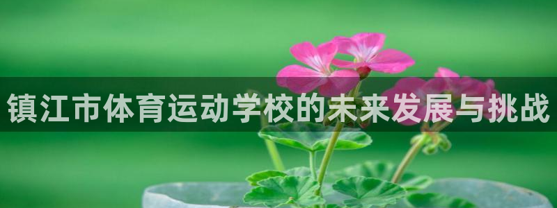 一竞技one卡安不安全：镇江市体育运