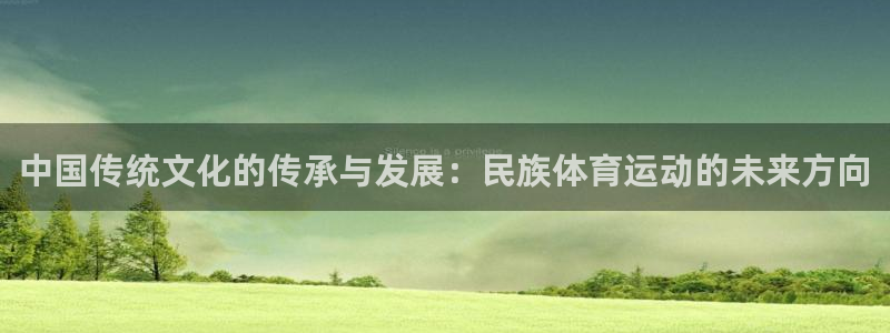 一竞技官网下载：中国传统文化的传承与