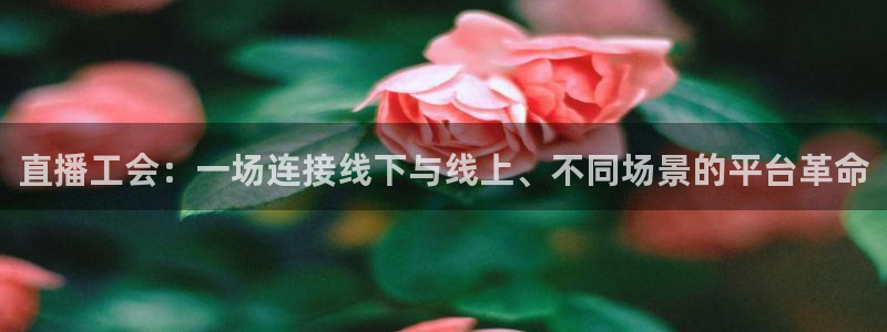 360体育直播无插件高清