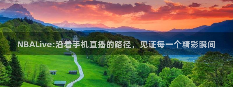 广东体育直播频道360