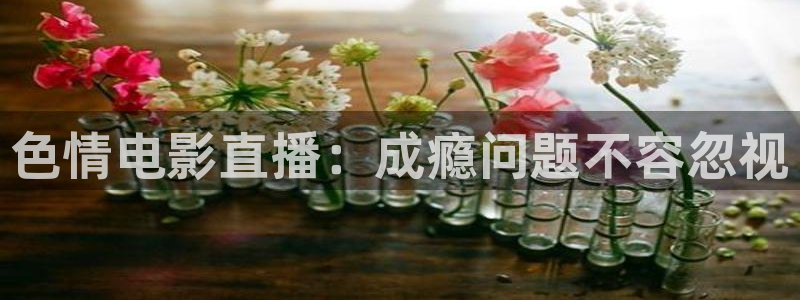 360直播足球比赛在线观看：色情电影直播：成瘾问题不容忽视