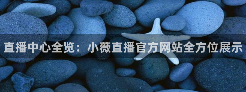 nba直播360低调看直播：直播中心全览：小薇直播官方网站全方位展示
