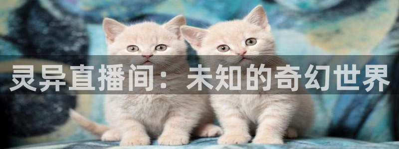 足球直播360直播视频：灵异直播间：未知的奇幻世界