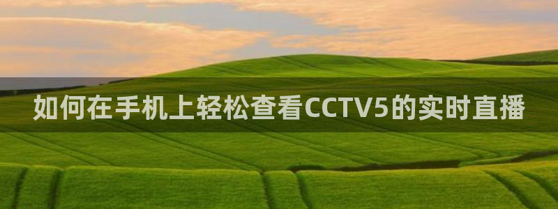 雨燕360体育直播高清完整版：如何在手机上轻松查看CCTV5的实时直播