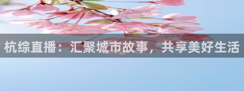 360雨燕免费直播：杭综直播：汇聚城市故事，共享美好生活