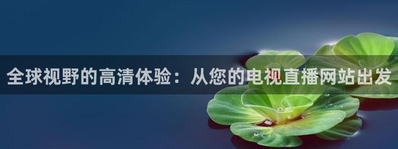 雨燕360体育足球免费直播：全球视野的高清体验：从您的电视直播网站出发