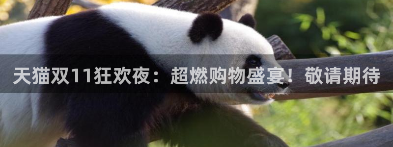 360雨燕直播吧免费直播：天猫双11狂欢夜：超燃购物盛宴！敬请期待