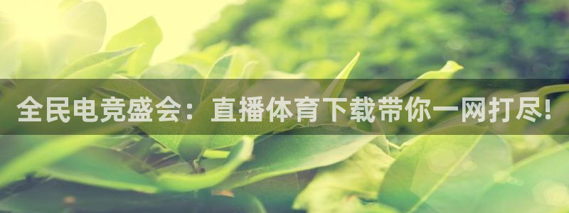 360雨燕直播体育：全民电竞盛会：直播体育下载带你一网打尽!
